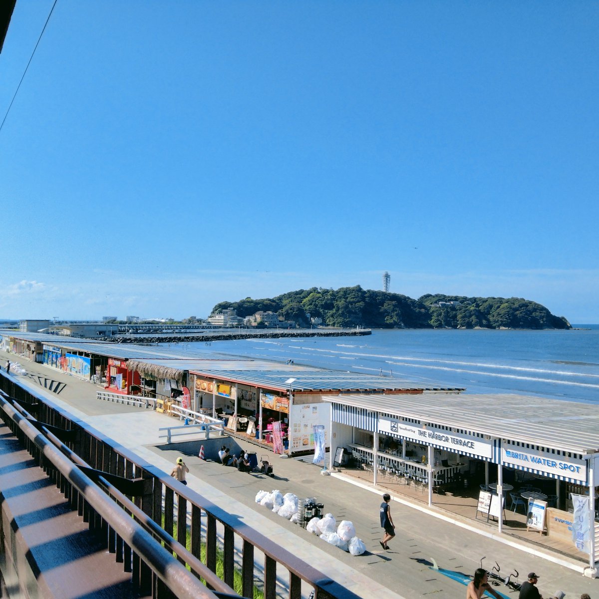 kobebryant232's tweet photo. #新江ノ島水族館
#えのすい
2026年8月10日 https://t.co/mEJbJS1i3Q