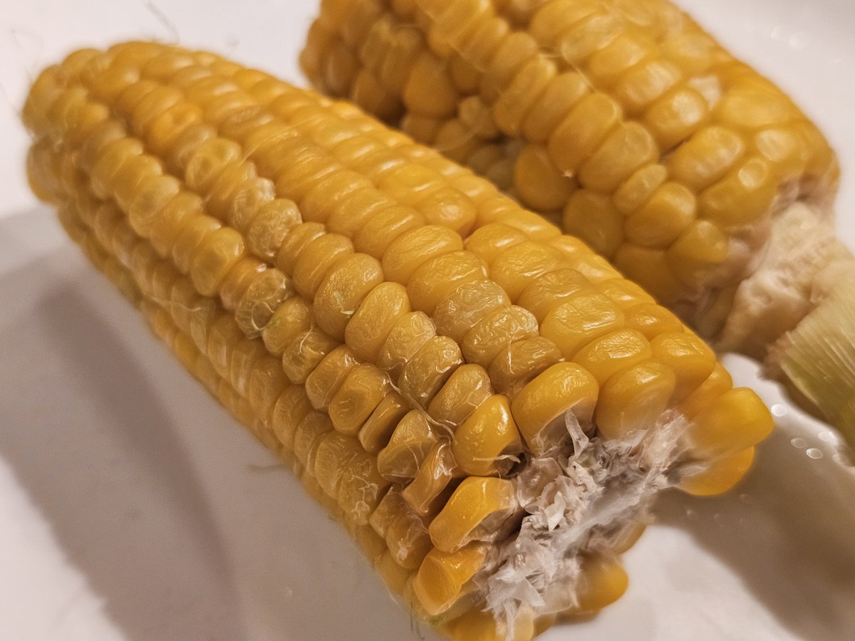 haratch847's tweet photo. #ハラッチの今日の晩御飯
ミートソーススパゲティ🍝
朝採れ🌽😋
🌽甘～い🤩旨～い🤩 https://t.co/vBHHHUrsIi