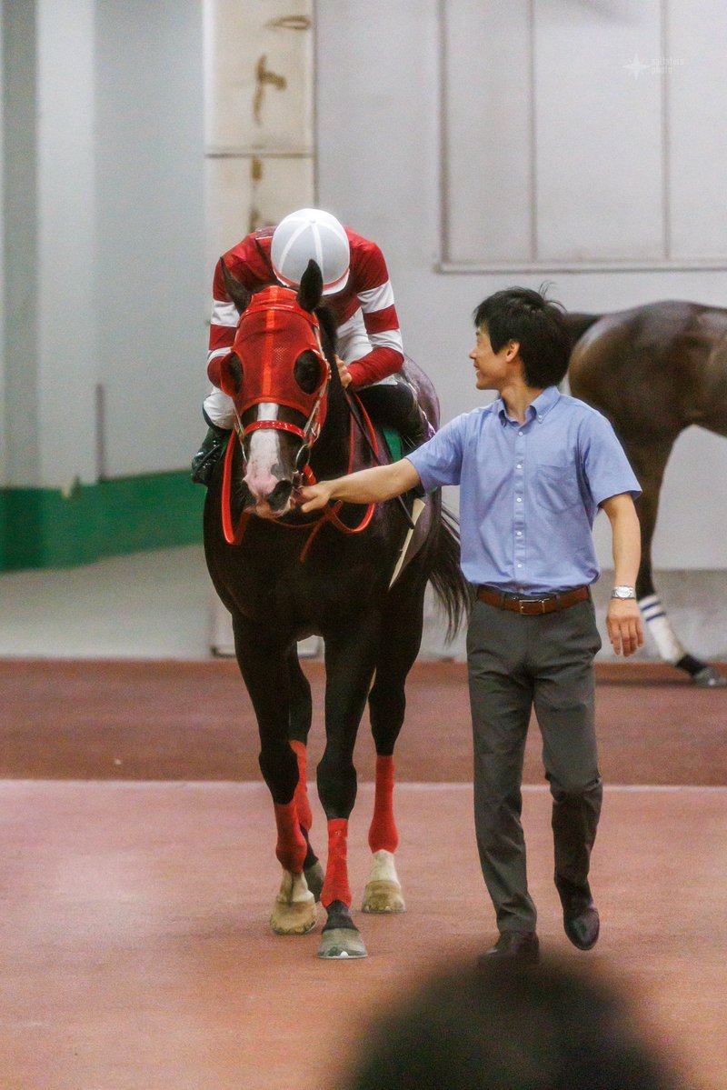 saltsters's tweet photo. #フロムダスク
#中井裕二
たくさんガッツポーズをし、たくさん相棒を労っていてこちらも嬉しくなりました👋
2026.8.9 中京7R CBC賞🥇 https://t.co/m1JPHQwYxG
