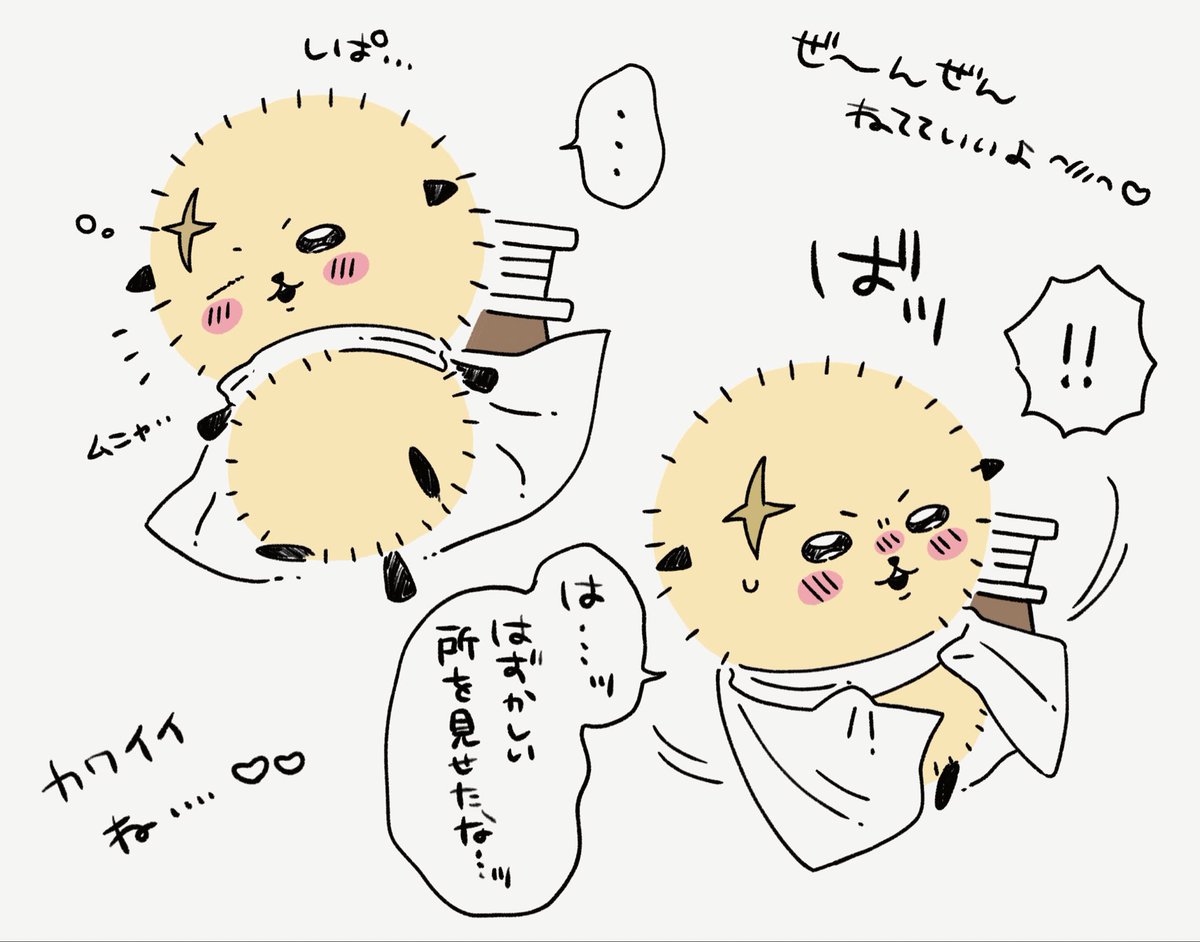mstttkgc's tweet photo. ラッコ先生の油断し切った顔、見たい… https://t.co/bQLV2lQ8yo