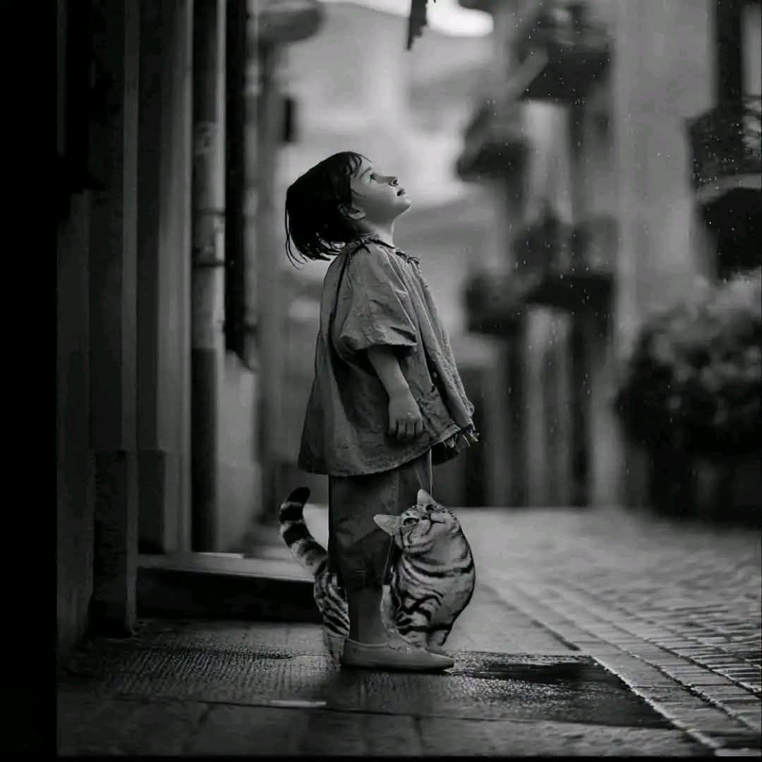 WooW_2025's tweet photo. قد يَفِرُّ المرء من أشياء عظيمة ،
لكنهُ يُهزَم أمام شعوره ..💔 https://t.co/9xwtVFCVqv