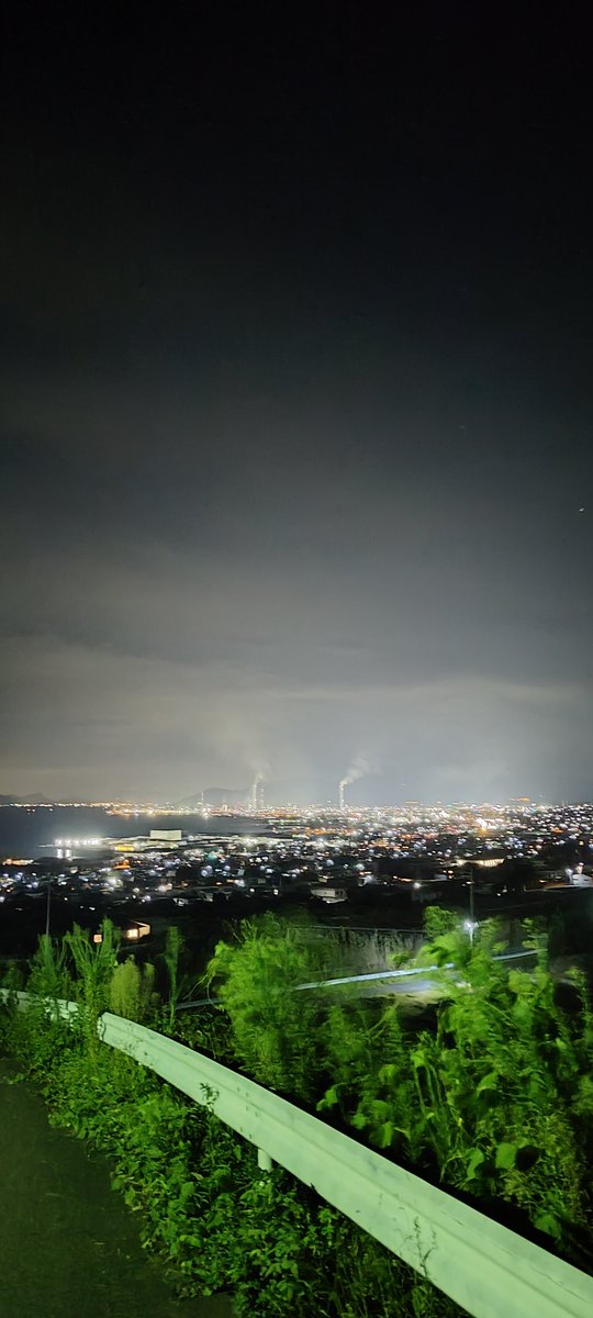 kkk_kun's tweet photo. ワンコ連れてえのくぼ行った。
クワガタ探したけど大ムカデしかおらん！
東京喰種打ちたくなったわ！ https://t.co/luarsUl68m