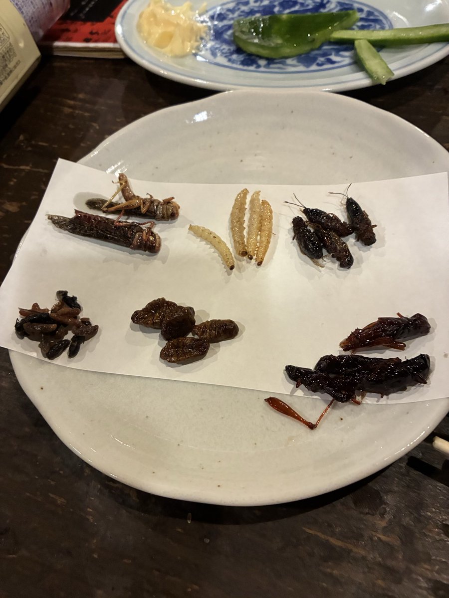 mkmgycuc's tweet photo. ゲティモノ。
楽しかったけど、お腹は膨れませんな。 https://t.co/r0Jt8DERgA