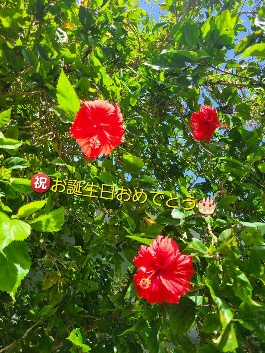 5629ray's tweet photo. かずぽんさん(@2x3is8fBnmQHaSA)
はっぴーばーすでーーーーい🥳👏🎉👏
健やかで楽しい1年になりますように✨️ https://t.co/VTAv2VpxKI