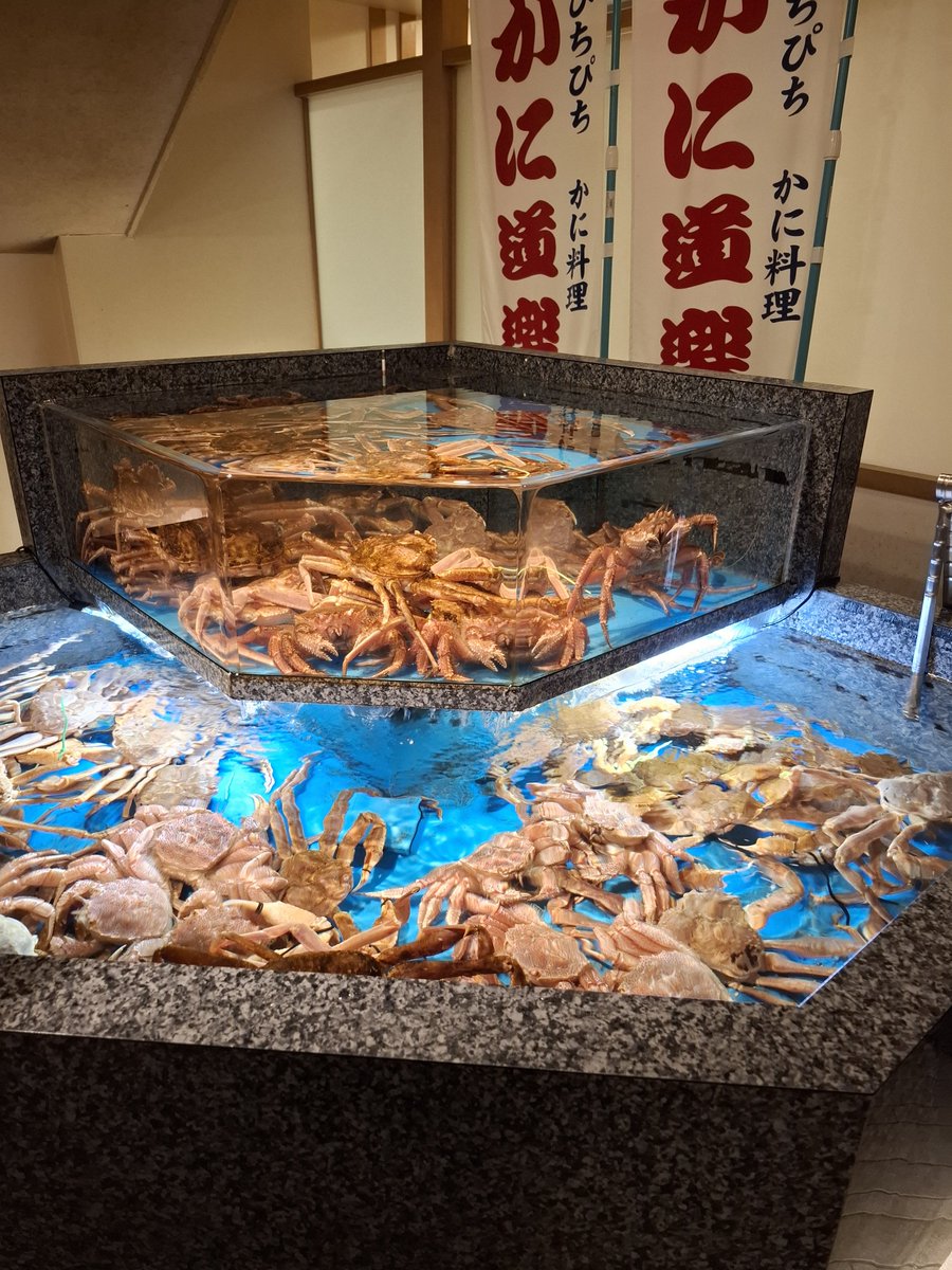 kadowaki888's tweet photo. と～れとれ、ぴーちぴち、かに料理ぃ～。
お盆のお食事会。
いつも、いつでも美味しい！！
#かに道楽 https://t.co/LxSlXqfpbu