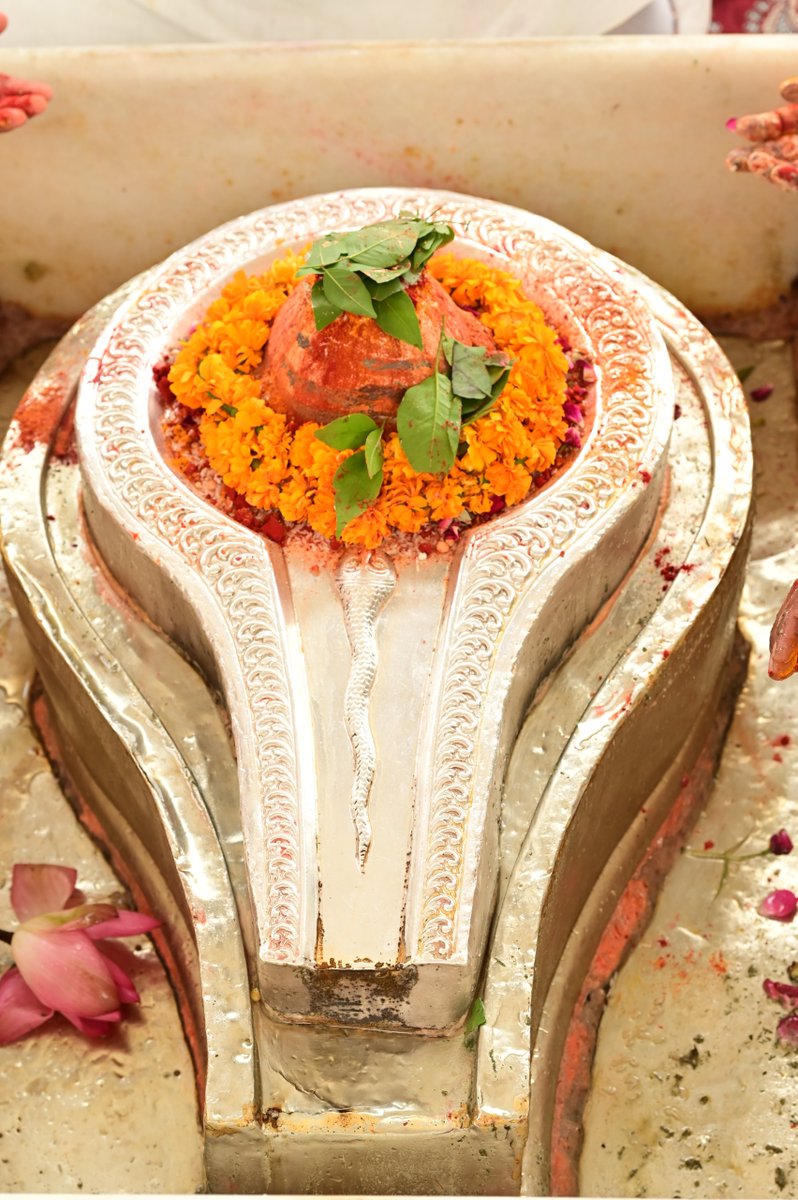 ShriVishwanath's tweet photo. श्री काशी विश्वनाथ मंदिर न्यास द्वारा संकल्पित प्रत्येक सोमवार को रुद्राभिषेक एवं संकल्प पाठ का अटूट क्रम निरंतर जारी है। श्रावण मास 2026, द्वितीय सोमवार(प्रदोष सोमवार) दिनांक 10/08/2026 , को मंदिर न्यास द्वारा धाम स्थित श्री अविमुक्तेश्वर महादेव का रुद्राभिषेक संकल्पित विशिष्ट उद्देश्य सहित किया गया ।
#kashivishwanath #kashi #sanatandharma #hindu #babavishwanath