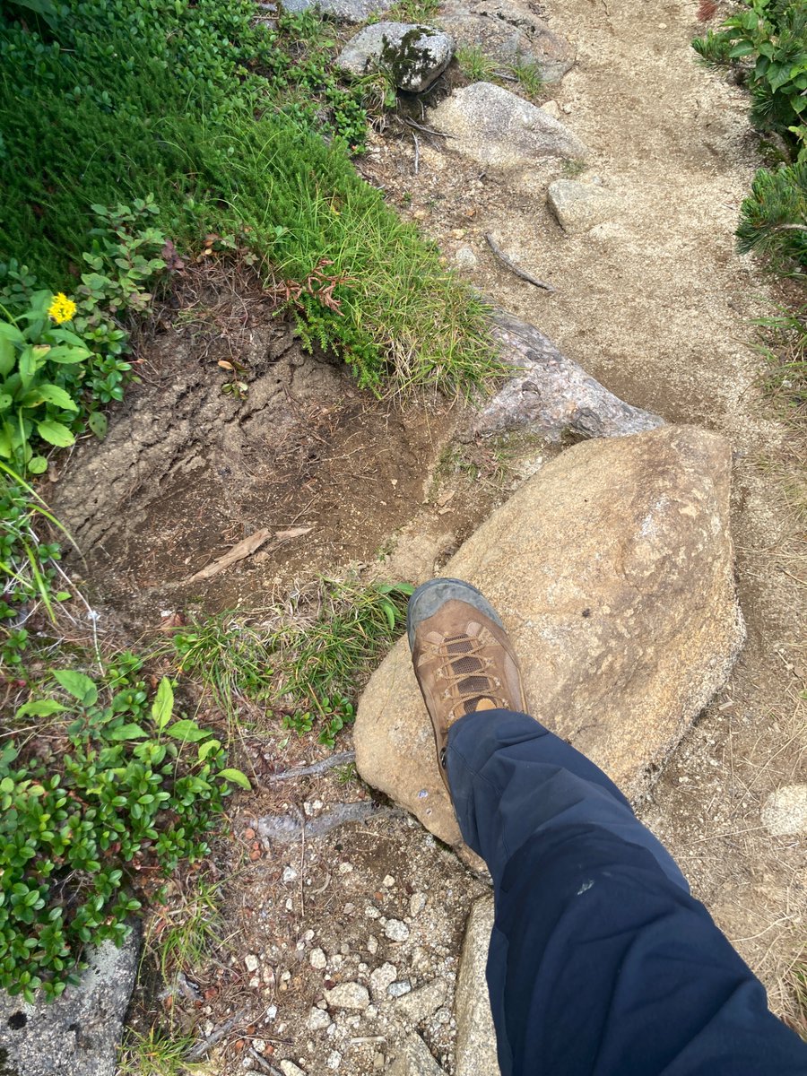 ShikataKei's tweet photo. 中央アルプスの稜線にあった、クマの糞とクマが石起こしをした跡。
登山道沿いに歩きながら、餌を探していたようでした。 https://t.co/LSsJguIN2Z