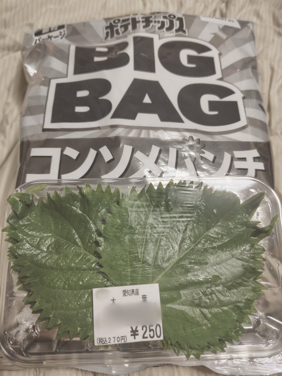 agttkrg's tweet photo. 自分、これをやらしていただきます　感想は如何に https://t.co/xdeB5nig4f