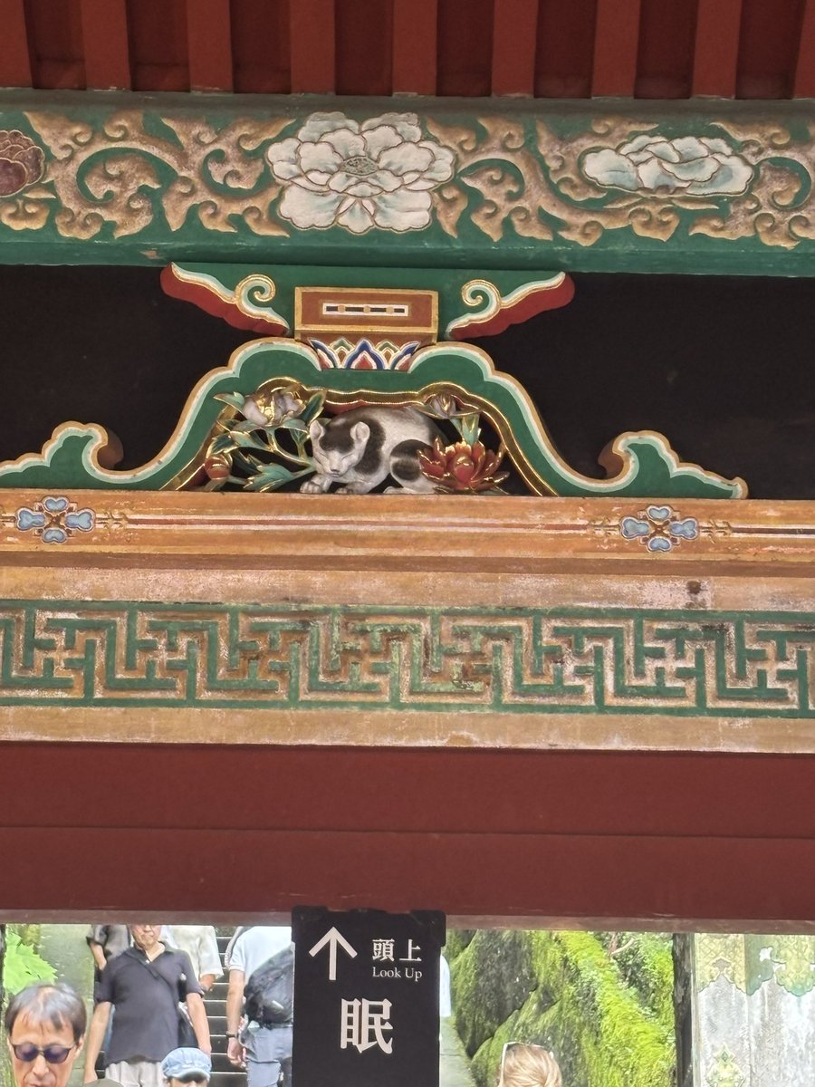 tr6_9's tweet photo. 日光東照宮行って二荒山神社行って華厳の滝行ってきた https://t.co/5gJzV5dmeg