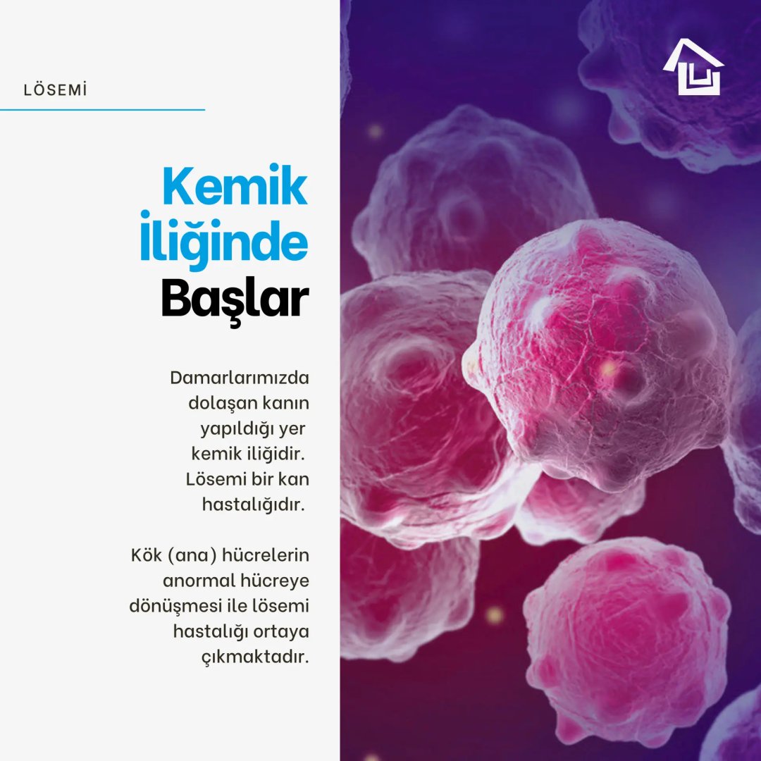 losev1998's tweet photo. LÖSEV olarak lösemili çocuklarımızı ve ailelerini; doğru tedaviden dengeli beslenmeye, düzenli takipten moral ve motivasyona kadar mücadelenin her aşamasında destekliyoruz💙
#LÖSEVHayatVerir

🔗 https://t.co/2uPUsRMnxO https://t.co/8pxLaJ2Ewc