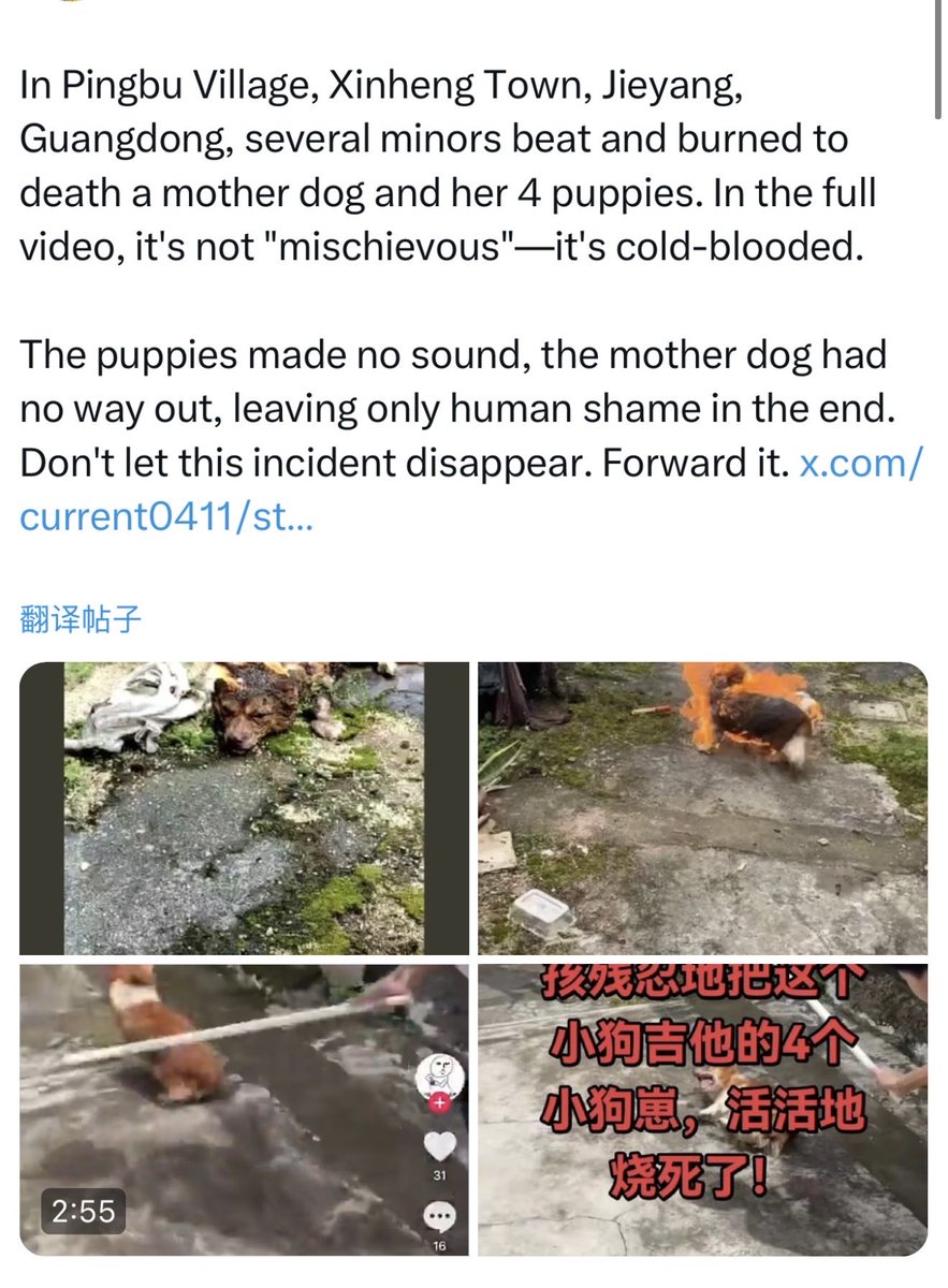 ChloeVerse's tweet photo. @teamwangwang So he is provoking.why he still alive?! https://t.co/zRlLKH07F4