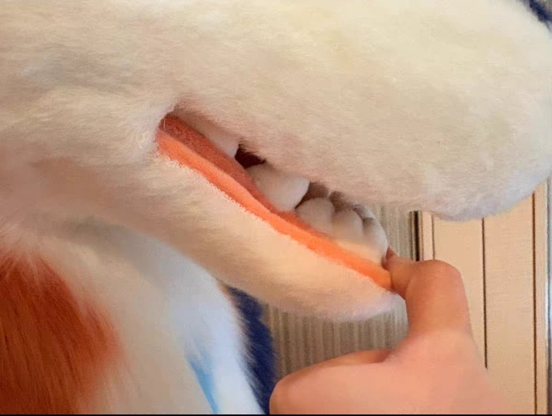 Furmul4's tweet photo. 상어드래곤 🦈💙🧡
[34.7]

앞뒤 설정화 포함, 헤드 손 안감O

문의는 DM, 혹은 프로필의 오픈 카톡주세요 (*･ω･)

#fursuit #kemono https://t.co/WdpwbLBlvc