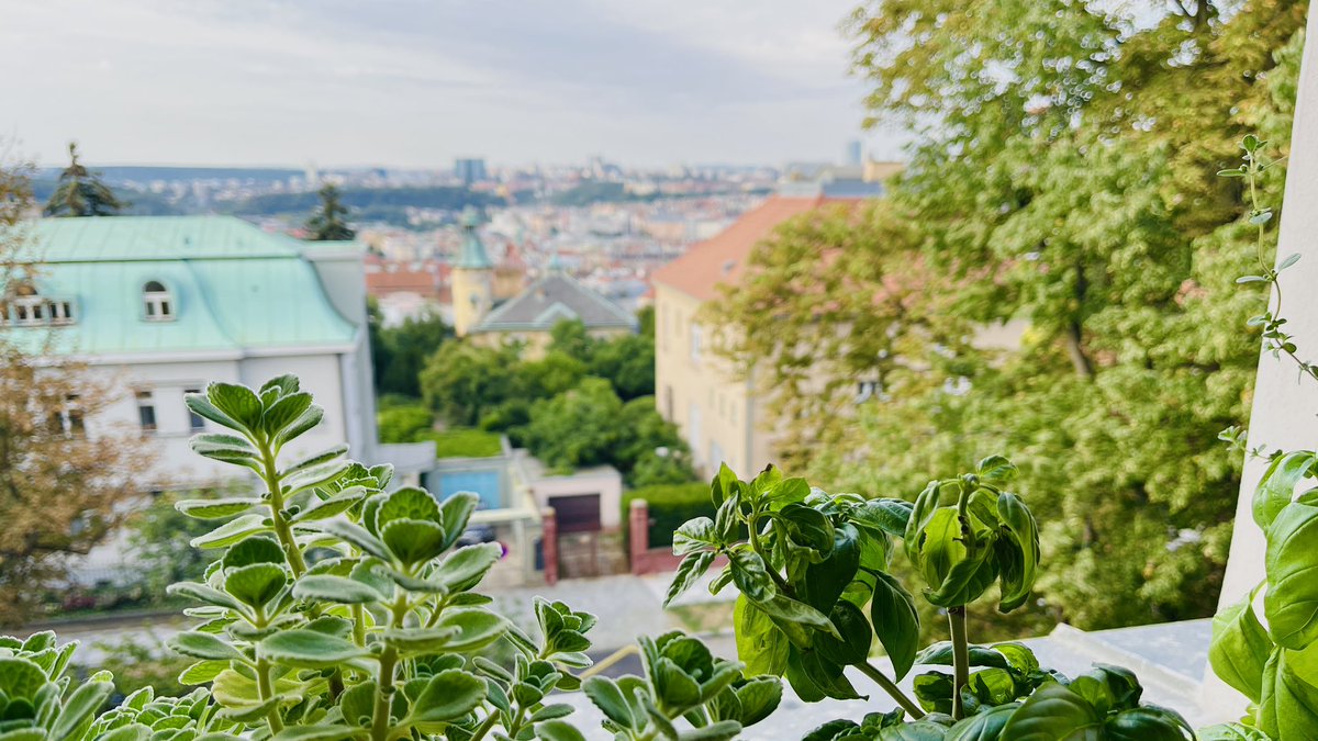 Praha_cz's tweet photo. Dobré ráno
おはよ〜 https://t.co/j8MLkyIrA9