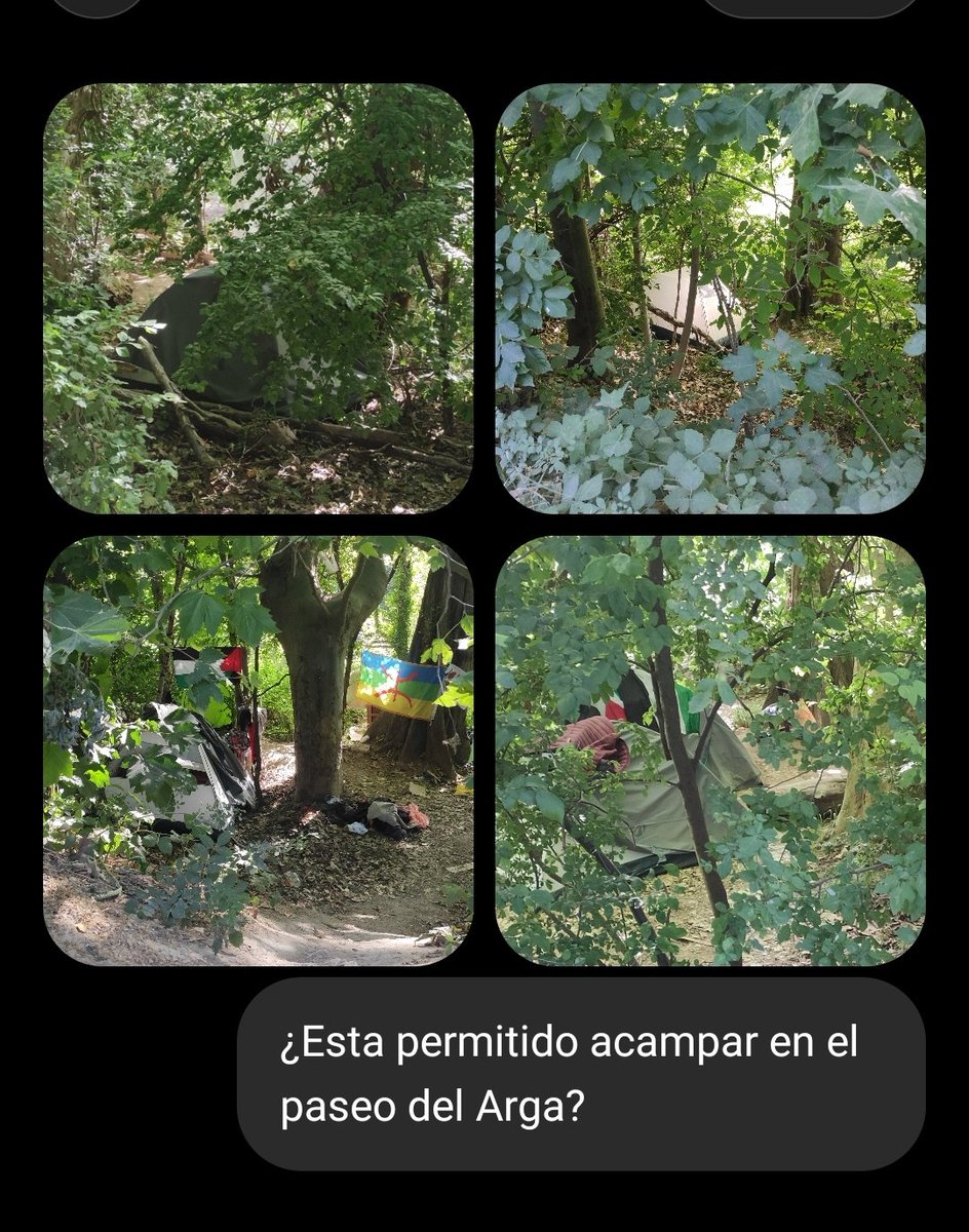 zarbeta's tweet photo. @urederriano https://t.co/A6MVAip1KH