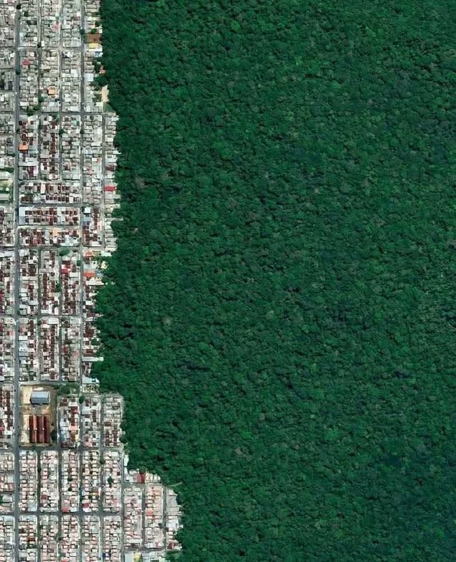 gomezdetejada's tweet photo. Límite entre ciudad y naturaleza.

Santiago de Chile (Chile) y la cordillera de los Andes Vs Manaos (Brasil) y la selva amazónica. https://t.co/iYhmi9pkii