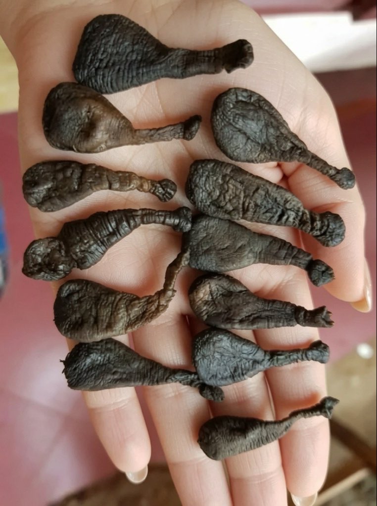 bosversenecemre's tweet photo. Erkek kardeşim 16 yaşında dün akşam arkadaşlarıyla maça gittiler az önce çantasını boşalttım içinde bunu buldum ne olduğunu sordum konudan kaçıp cevap vermedi. Bu nedir ? Biri biliyor mu? 
Lütfen yardım edin 😭 https://t.co/navjQ9xg9q