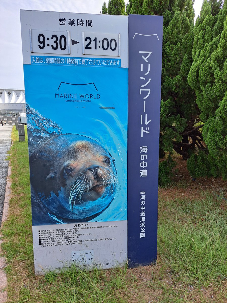tokusatsusando's tweet photo. やっぱ人間は定期的に動物園か水族館に行かなアカン https://t.co/1l4UkpyFaw