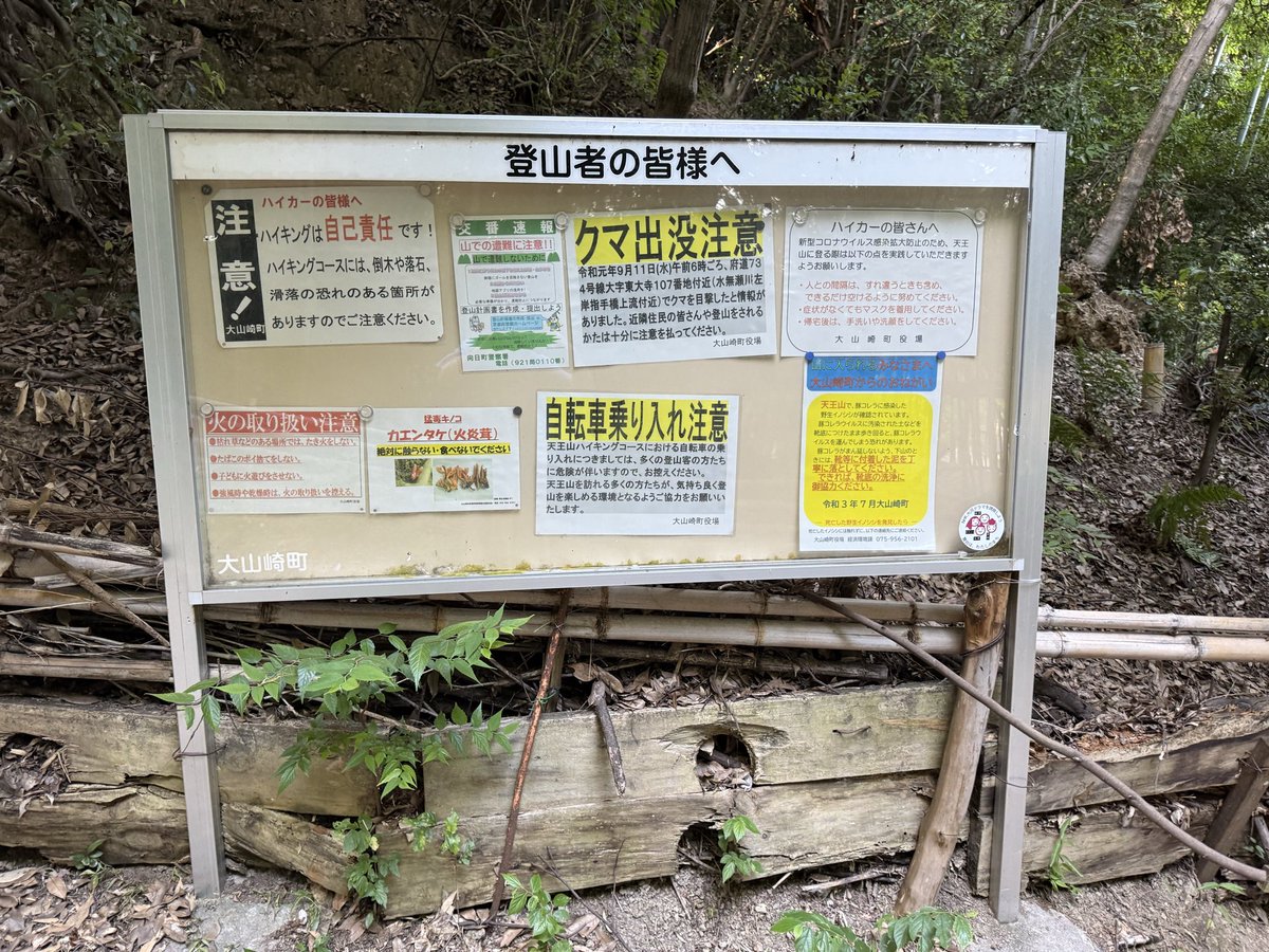 AelexChin's tweet photo. 京都天王山爬好了，爬山过程没见一人，只有虫鸣鸟叫，还有时不时的寺院坟墓，加上说有猴子或熊，一个人半个魂都没了。 https://t.co/Bi59sgLSy0