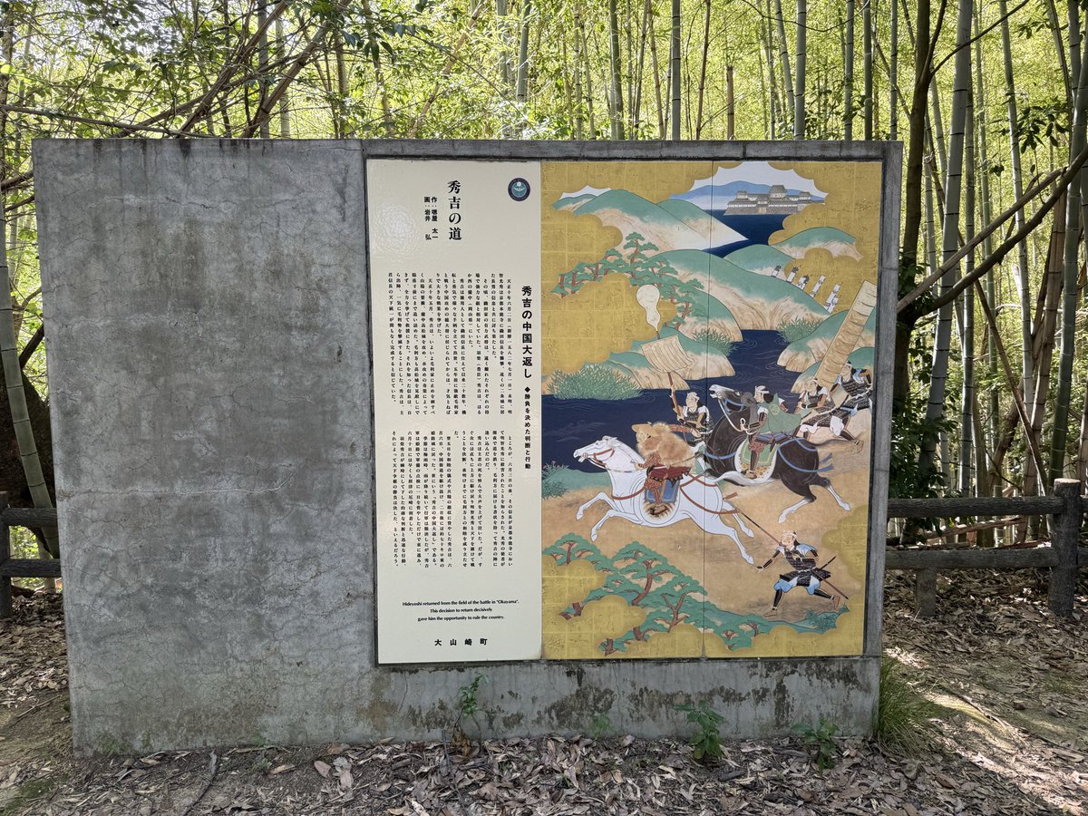 AelexChin's tweet photo. 京都天王山爬好了，爬山过程没见一人，只有虫鸣鸟叫，还有时不时的寺院坟墓，加上说有猴子或熊，一个人半个魂都没了。 https://t.co/Bi59sgLSy0