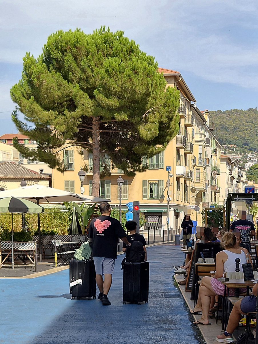 cd_land's tweet photo. Bonne semaine, aux vacanciers et aux autres !
#NiceCotedAzur #PlaceduPin https://t.co/bWRwaMhV4l