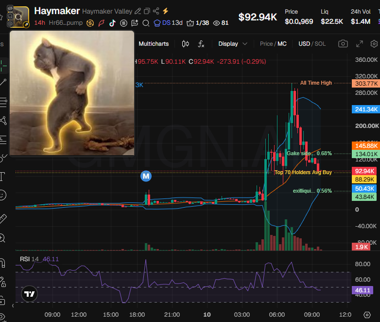 novasowl's tweet photo. $Haymaker (CA Hr66MMmcwwt6YNPUAVuSyjhrhFSnjCNxuPuAJ1Ubpump) doesn't have snipers and insiders per devsnightmare, team holds 3.5%. Sling, stsonchain, Mike, Gake, exitliquidity, Mubashshira Wasta are top holders.

No major clusters on the bubblemap. CEX cluster has 51.4%, Binance funded wallets have 15.9%, Coinbase 21.2%, Moonpay 8.8%, Bybit 5.2%, Kucoin 4.8%, Robinhood 3.2%, Mexc 2.8%, Change Now 1.3%.

Top 10 holders have 19.6%, 1.02k holders with an average bag at $95. Nfa