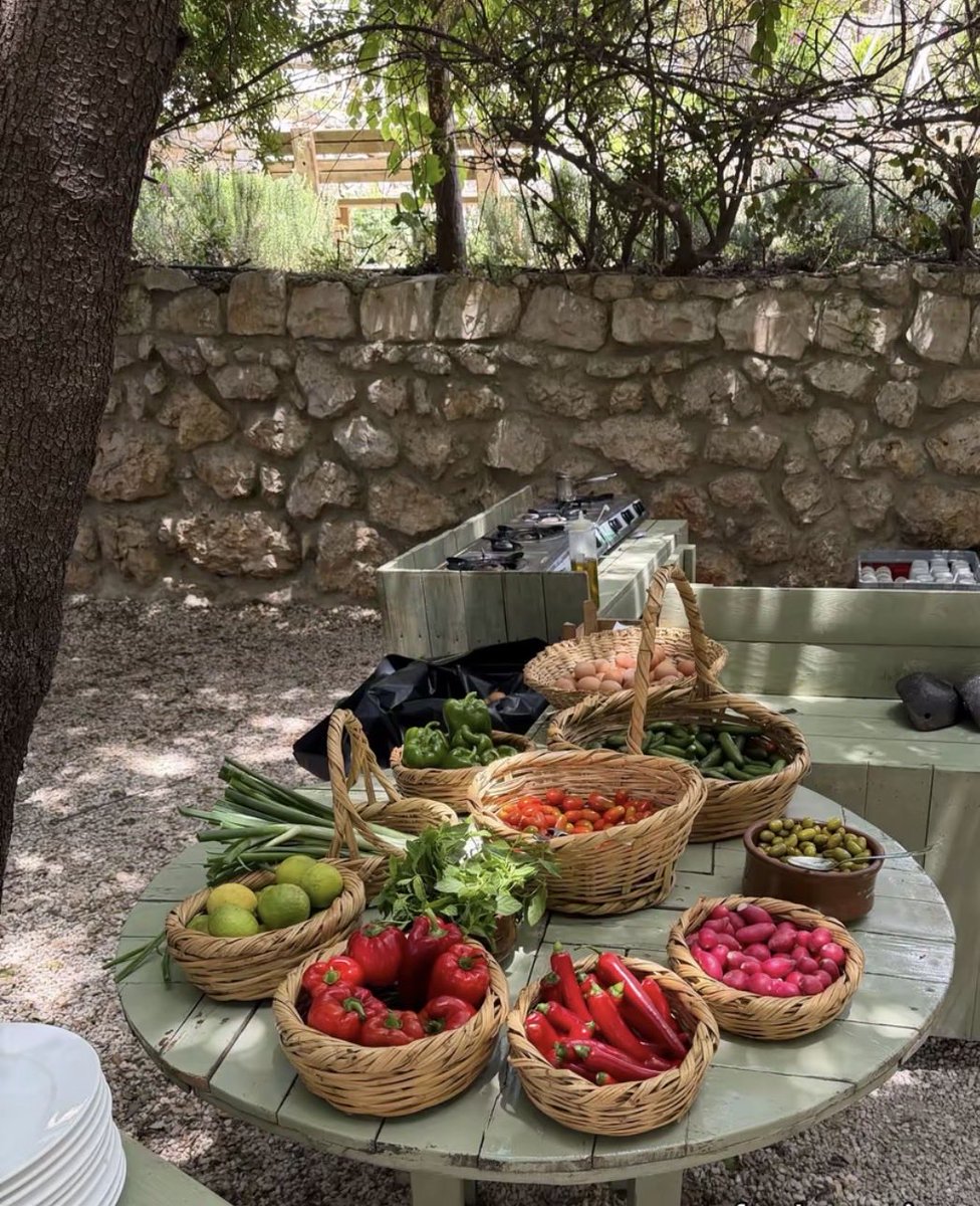 MahaMoukashar's tweet photo. صباح الخير جميعاً 🇱🇧❤️ https://t.co/rTs6RubznO