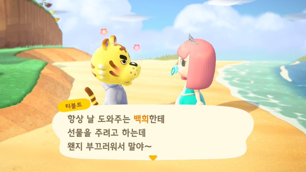 Bamdollll's tweet photo. 어제 이사 왔는데 무슨 소리야 같은 호랑이라고 지금 https://t.co/49ebhfVCij
