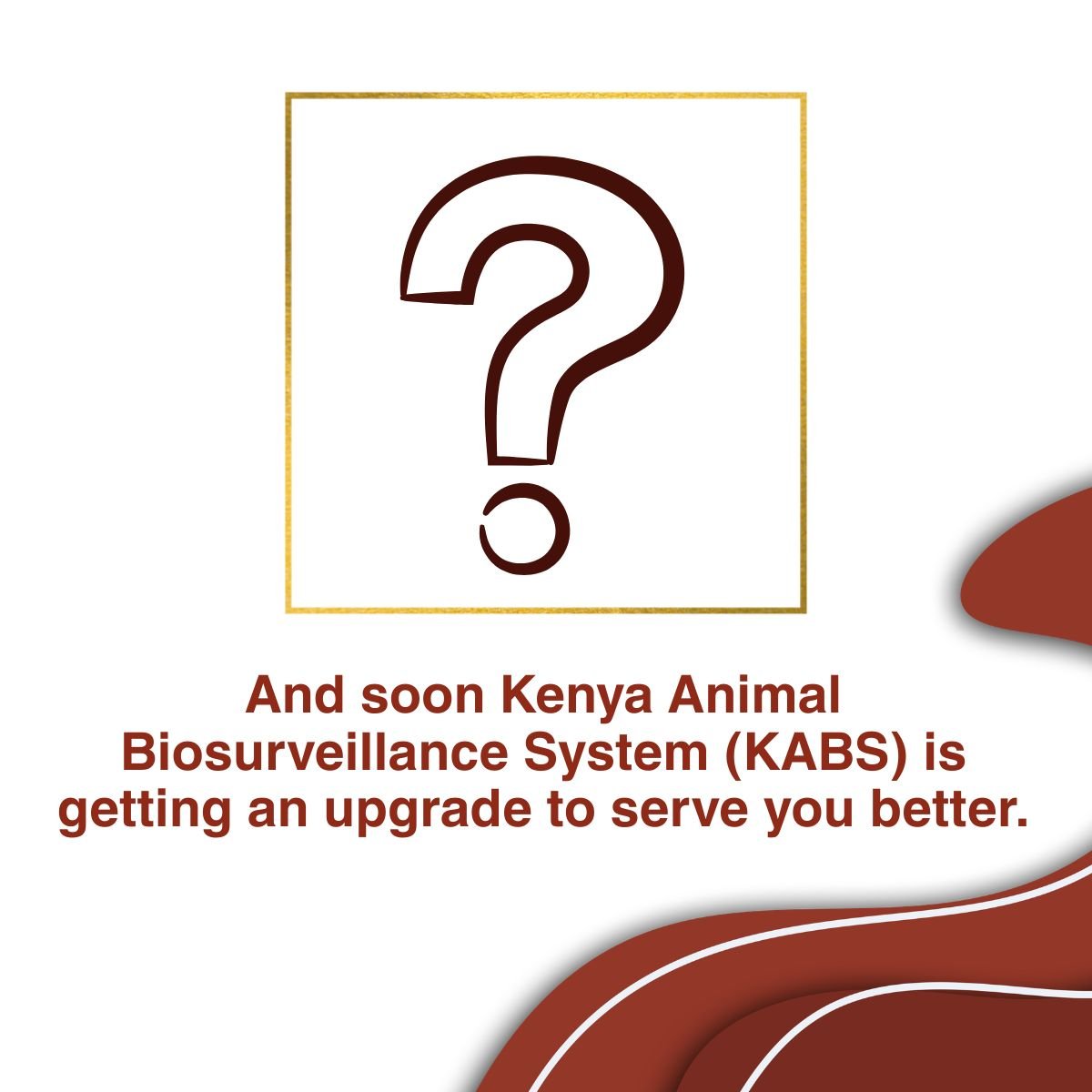 Dir_vetservices's tweet photo. KABS is getting an upgrade! 🚀
Stay tuned for updates. 🔔

#KABS #AnimalHealth #OneHealth https://t.co/BkHKG7xZh5