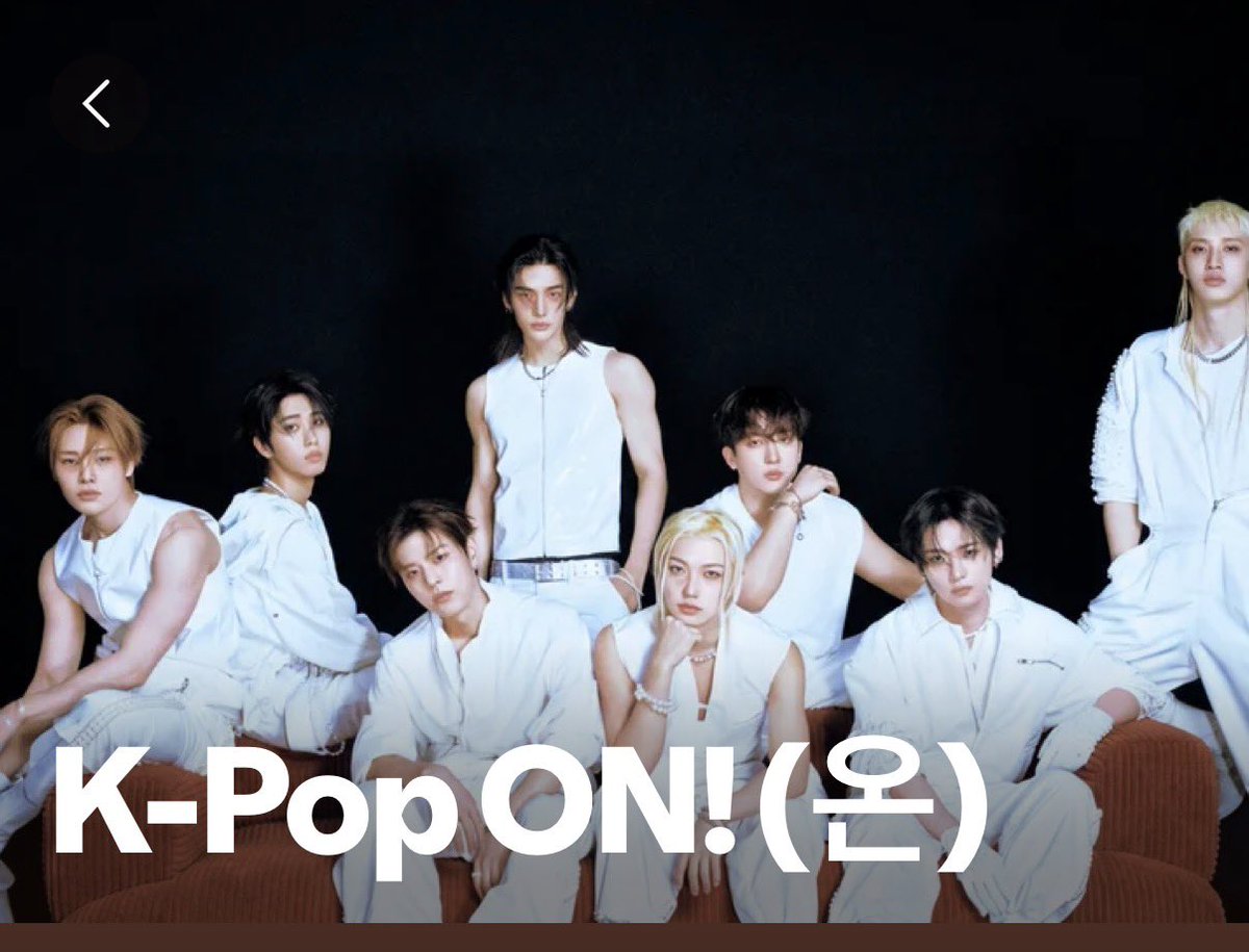 piwskz's tweet photo. hi so this isn’t stray kids @Spotify 🫩 https://t.co/Hqic7jYezd