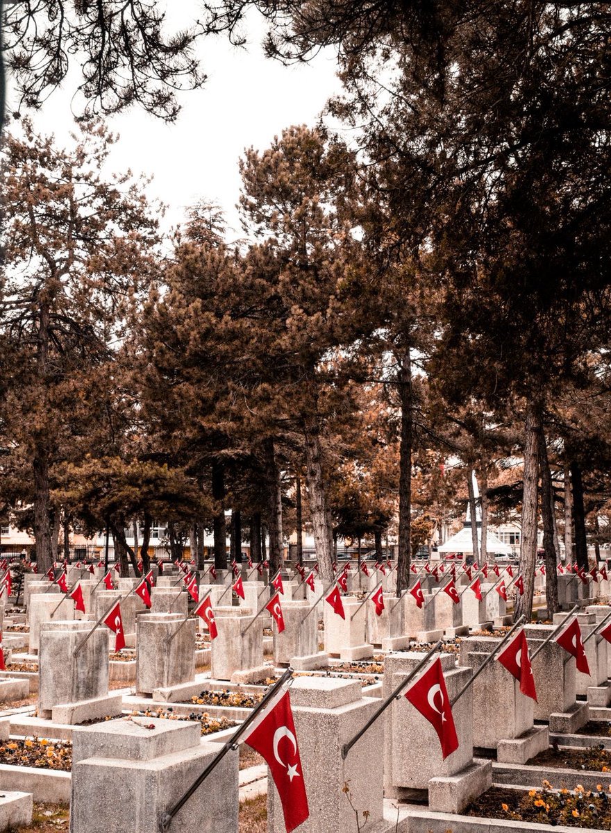 aybilgece's tweet photo. Dağ gibi yiğitleri toprağa verdik 

Toprak utandı siz utanmadınız https://t.co/lMsJU3F28U