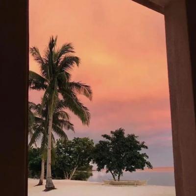 ConnorPallmann's tweet photo. Don’t underestimate the power of narrative. Strong stories move markets and minds. 🌸 https://t.co/lSguAJFtVF