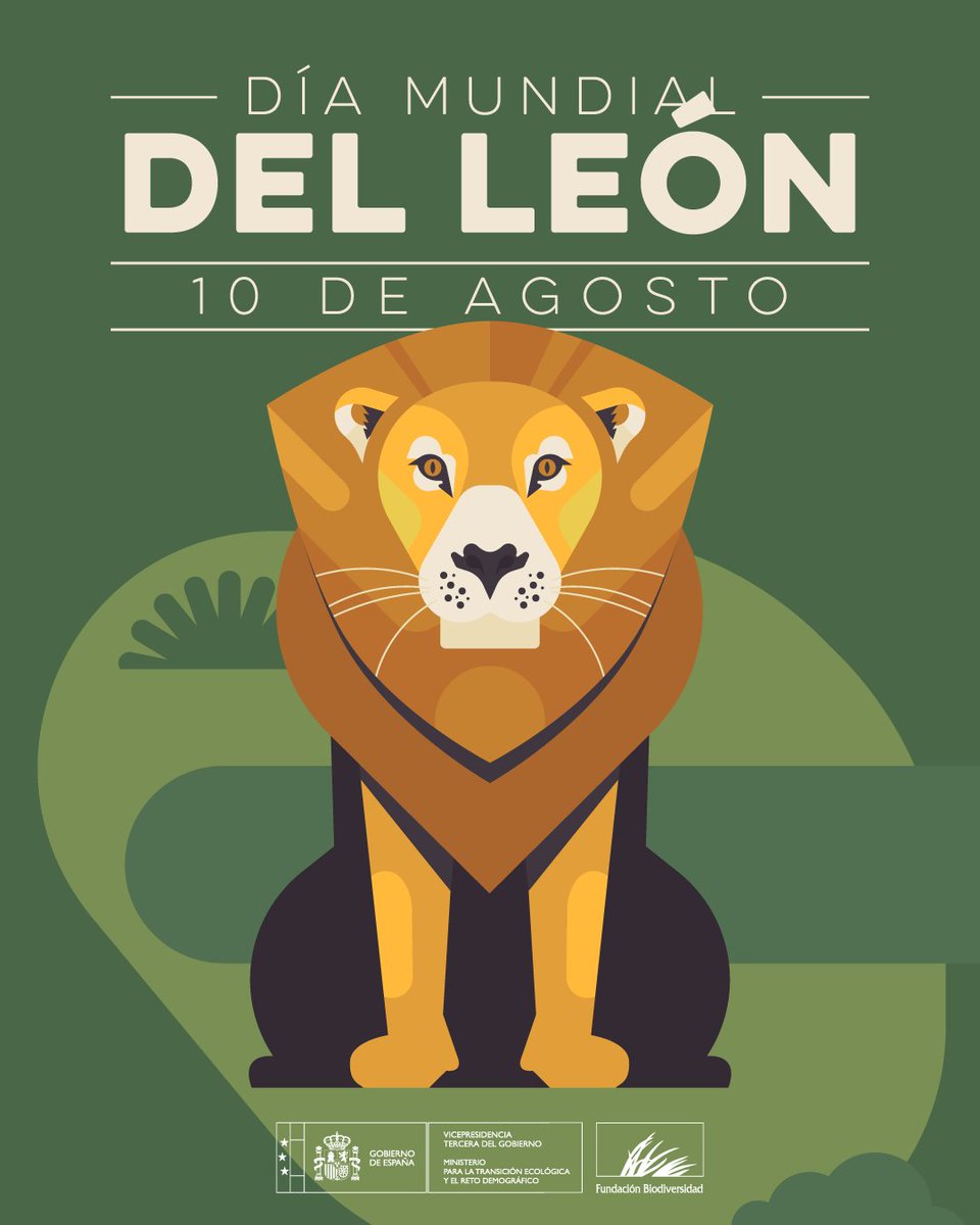FBiodiversidad's tweet photo. 🦁 El león es un símbolo de la vida salvaje, pero sus poblaciones han disminuido de forma alarmante por la pérdida de hábitat, los conflictos con las personas y la caza ilegal. 

Proteger a esta especie es conservar el equilibrio de los ecosistemas que habita.

#DíaMundialDelLeón https://t.co/rZg1Wlt0Q2