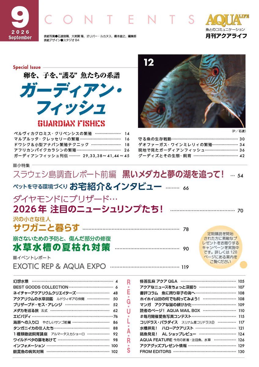 月刊アクアライフ編集部 on X: 