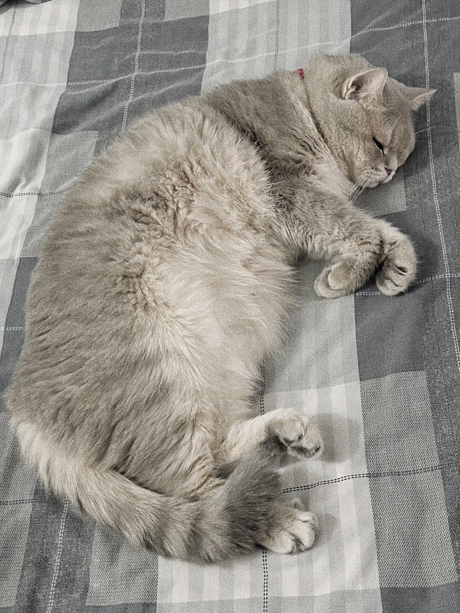 TutorKrp's tweet photo. My Jinmoo 🤍
IMYSM 🐾

#TutorKrp #JinmooPlaneTT https://t.co/nY1tbfjqR4