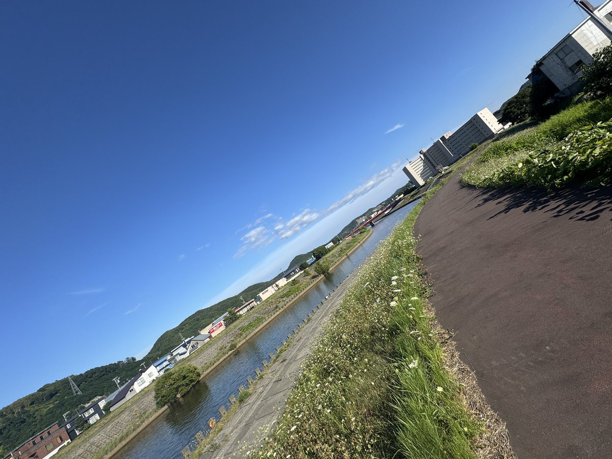 satoru430842's tweet photo. 今日の河川敷！！

#留萌
#河川敷
#今日の河川敷 https://t.co/ASKCPJboWJ
