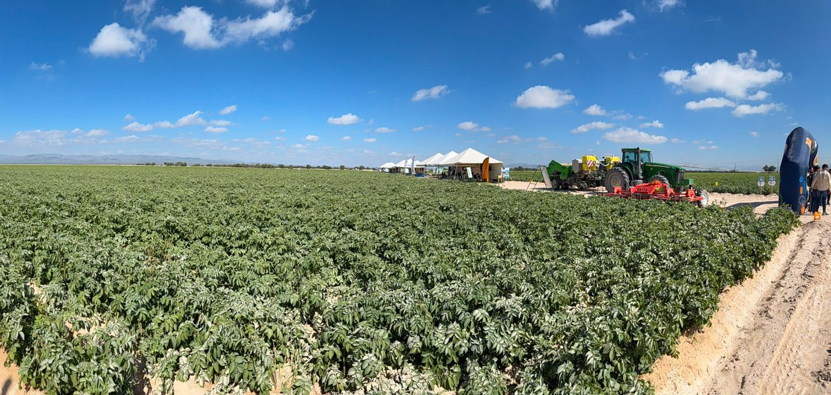 SyngentaGroup's tweet photo. What if growers could detect crop stress before it's visible? 🌱

Plants often show signs of stress 7-14 days before the human eye can detect them. Advances in satellite imagery and drones are helping uncover those early signals, giving growers the insights they need to make more informed decisions throughout the season.

Great to join the @PepsiCo Agro University in Mexico alongside @Google and @Microsoft to discuss how digital agriculture, data and agronomic expertise can help unlock the full potential of every potato crop. 🥔

#DigitalAgriculture #AgTech #Innovation