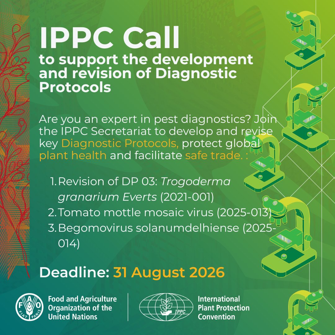 ippcnews's tweet photo. 📢 Reminder! The @ippcnews Call for Authors for Diagnostic Protocols is still open.

Experts in pest diagnostics are invited to contribute to:

✔️Revision of DP 03: Trogoderma granarium Everts (2021-001)

✔️Tomato mottle mosaic virus (2025-013)

✔️Begomovirus solanumdelhiense (2025-014)

📅 Deadline: 31 Aug 2026

🔗https://t.co/NUcRGwqoPX

© FAO/ Preet Parmar

#PlantHealth #IPPC #Diagnostics