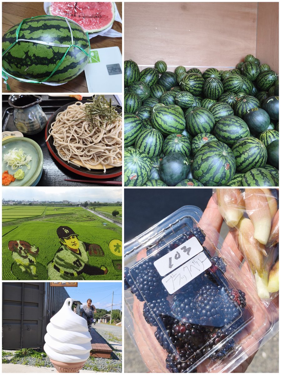 Koolking7's tweet photo. 岩手🏡別荘付近で夏満喫！
⭐️🍉スイカ→紅まくら4L(10kg超：極甘✨糖度13？)
⭐️手打ち蕎麦人気店♪
⭐️ご当地出身メジャーリーガーの田んぼアート🎨
⭐️農家のブラックベリー✨
⭐️行列するソフトクリーム🍦
#夏 
#スイカ 
#みちのく https://t.co/YKs3CJs3LQ