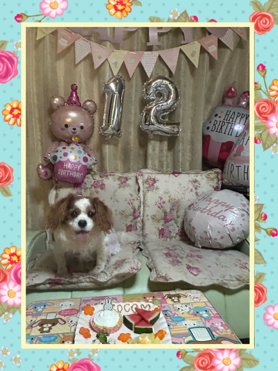 argemignon8106's tweet photo. こんにちは🌺
今日はSNOOPYの誕生日🎂
ココも12歳の誕生日を迎える事ができました🐶シニアになったけど、これから楽しく過ごそうね💖🎂💐🎁 https://t.co/fLsU1MVgxe