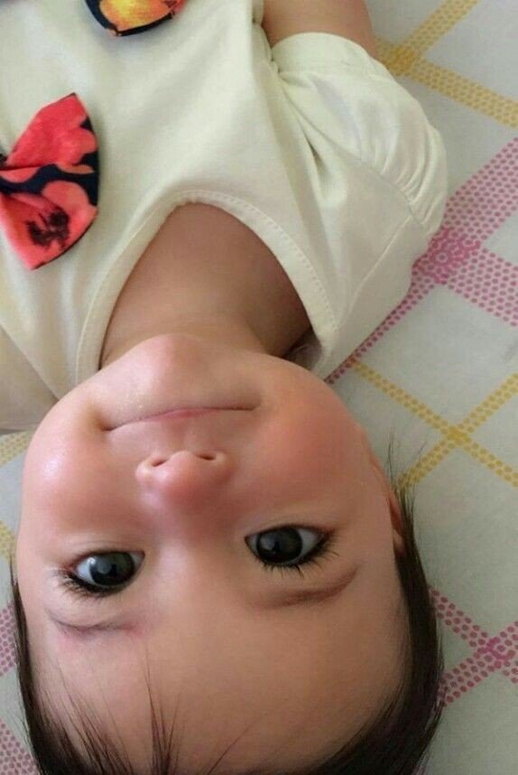 Cuddleecute's tweet photo. https://t.co/a2jwhctbHb