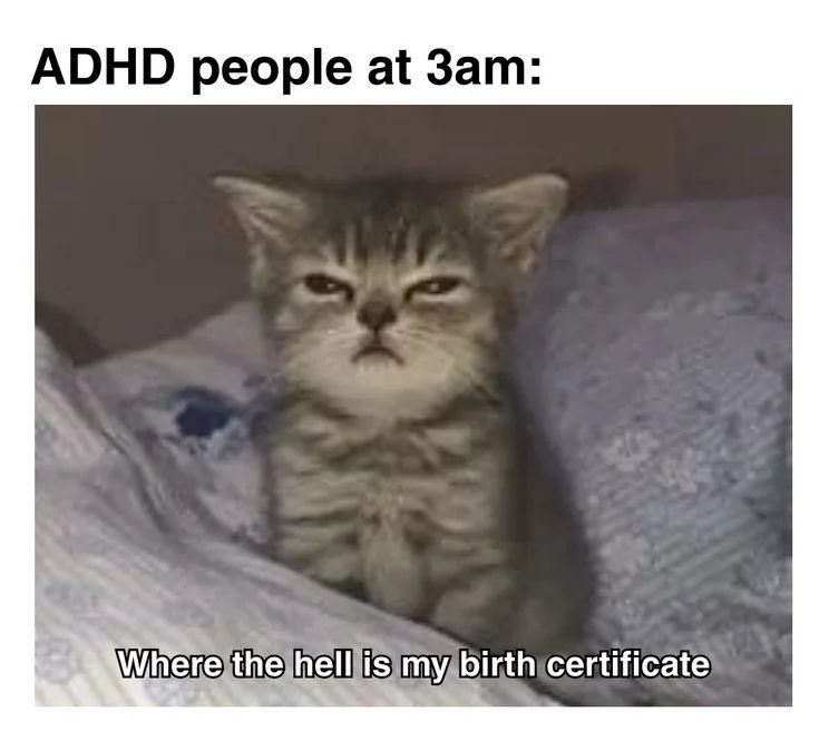 ADHDForReal tweet picture