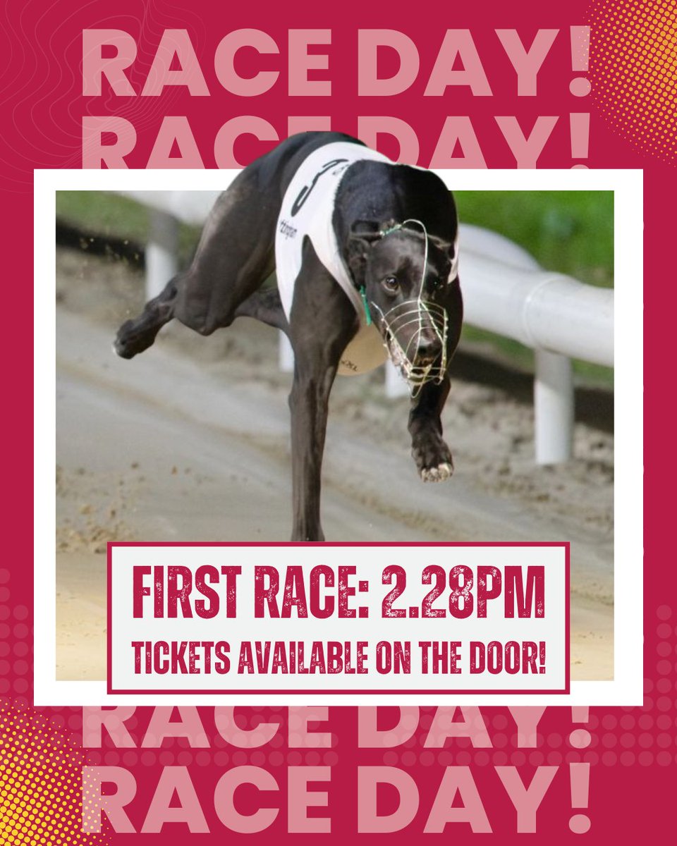 NewcastleDogs's tweet photo. It's Newcastle's fastest afternoon out πΎ
Join us today for 1β£2β£ live races from 2.30pm.
ποΈ Tickets available online and on the door from Β£9
β²οΈ Doors open, 1.30pm
π½οΈ Food and drink outlets onsite
βοΈ U18s go FREE
π
π https://t.co/cdqRfSx9My
#NewcastleDogs πΎ https://t.co/ERHtoki7Cr