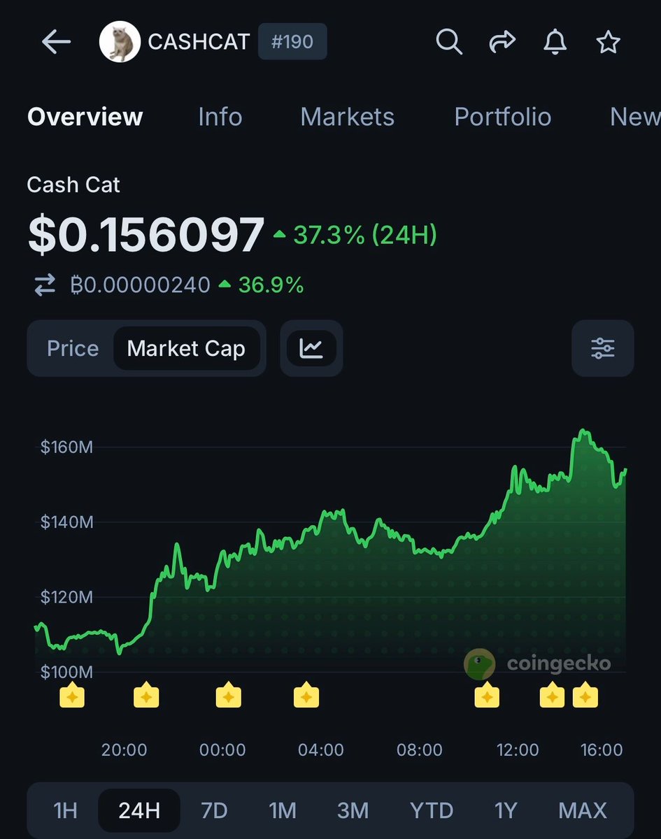 coingecko's tweet photo. INSIGHT: $CASHCAT sees renewed interest for the second time this week, pumping 37.3% after surpassing 50,000 holders. https://t.co/mMwCApg1gD
