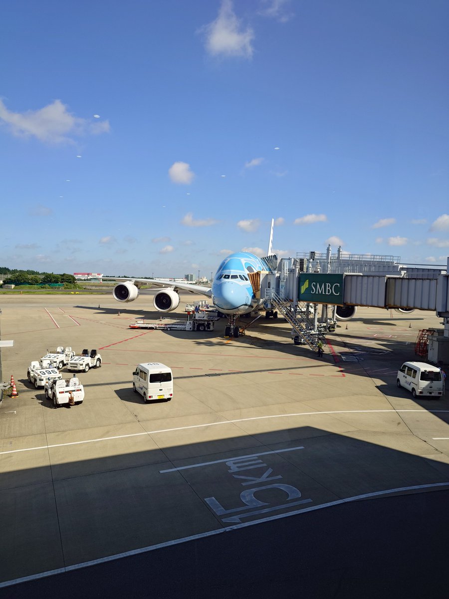 arekusei_00's tweet photo. 無事帰国できました✈️ https://t.co/8KiMALAcIX