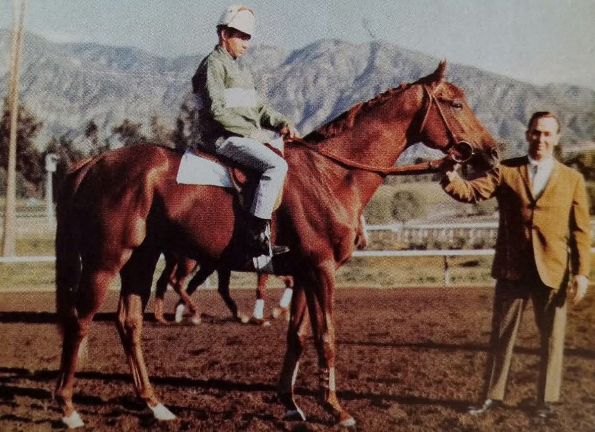 blindadosalas1's tweet photo. #Hipismo #InMemoriam El 10/08/1963 nació FORLI 🇦🇷 Campeón de 3 años y Cuádruple Coronado: #PollaDePotrillos #GPJockeyClub #GPNacional #CarlosPellegrini Padre de 60 #StakesWinners encabezados por el gran FOREGO 🇺🇸 Campeón Maduro (4x) Caballo del Año (3x)
Falleció el 16/09/1988. https://t.co/VsOAhItgdr