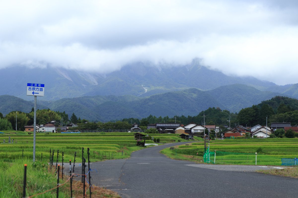 nobu_c_pic's tweet photo. 写活 ~日本、ここに在りけり~
#鳥取
#大山
#廃線跡⁡
⁡#風景⁡
⁡#風景写真
#竹林
#canon
#EOS80D
#キリトリセカイ⁡
⁡#写真で伝えたい私の世界
#ファインダー越しの私の世界
※令和8年8月10日撮影
※無断転載・保存禁止 https://t.co/mDZ0qrtH6f