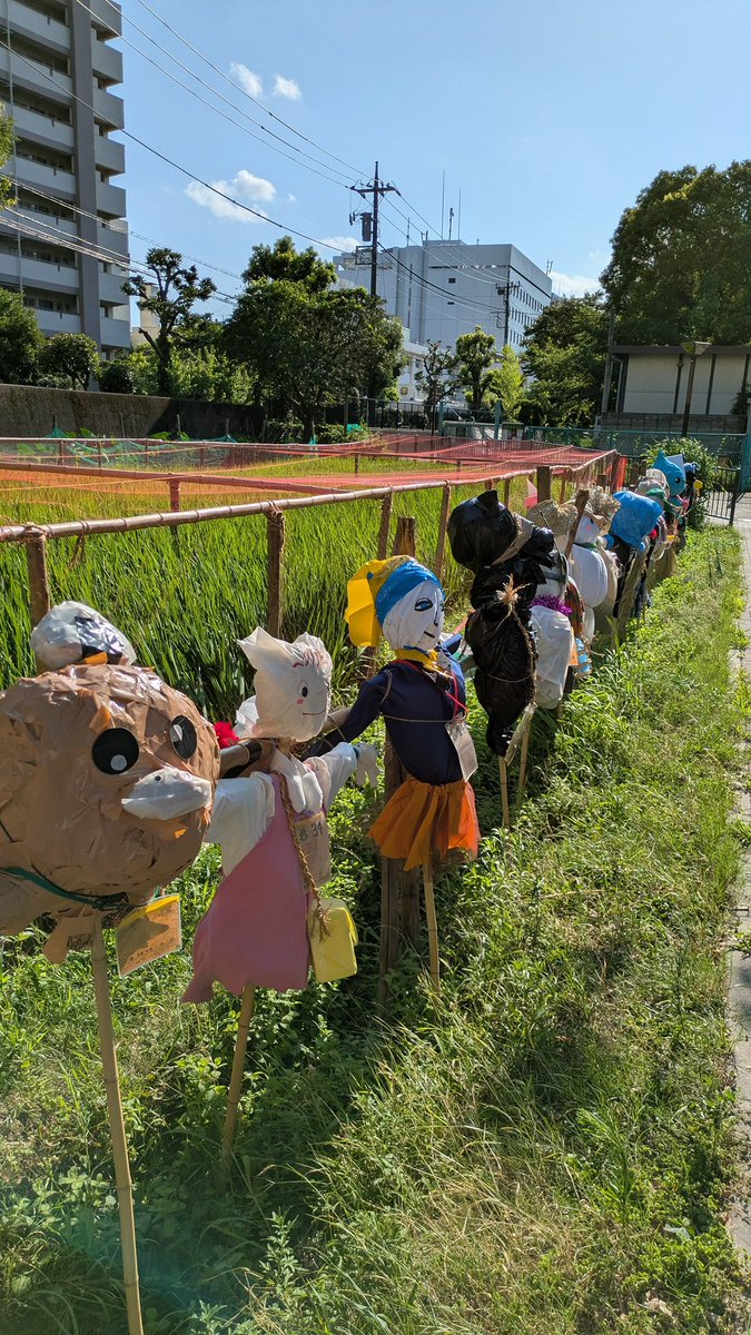 c2factory's tweet photo. 今年もかかしの季節になりました。横十軒川親水公園「田んぼの学校」。

かかしの意匠で「サンタ」ってのは考えたら斬新ですね。

https://t.co/ZBaWlAKvzT
#江東区 https://t.co/DhrE7CLi6R