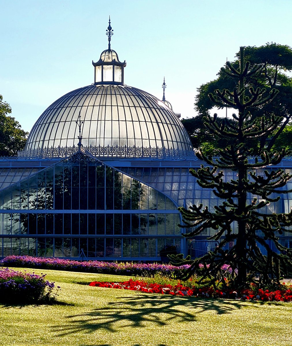 is_glasgow's tweet photo. Good morning, Glasgow, from the Botanic Gardens in the West End of the city. I love seeing the early morning light on the Kibble Palace, and the shadow created by the monkey puzzle tree.

#glasgow #goodmorning #botanicgardens #glasgowbotanicgardens #kibblepalace https://t.co/pBq4fT9Npl