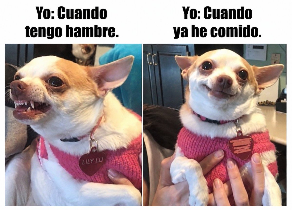 LearnSpanish102's tweet photo. https://t.co/iInMO7iVgy