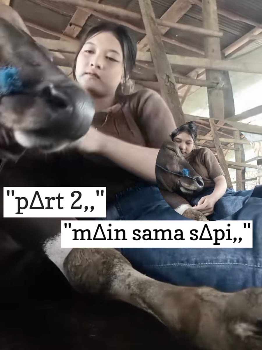 varis_99's tweet photo. Njirr di kkop punya sapi trs di paksa lagi mskin hm

https://t.co/SiSFMcDr3o

https://t.co/3UgZyJKT3a

https://t.co/qUHAqbeOcf https://t.co/UfORKhq3cW